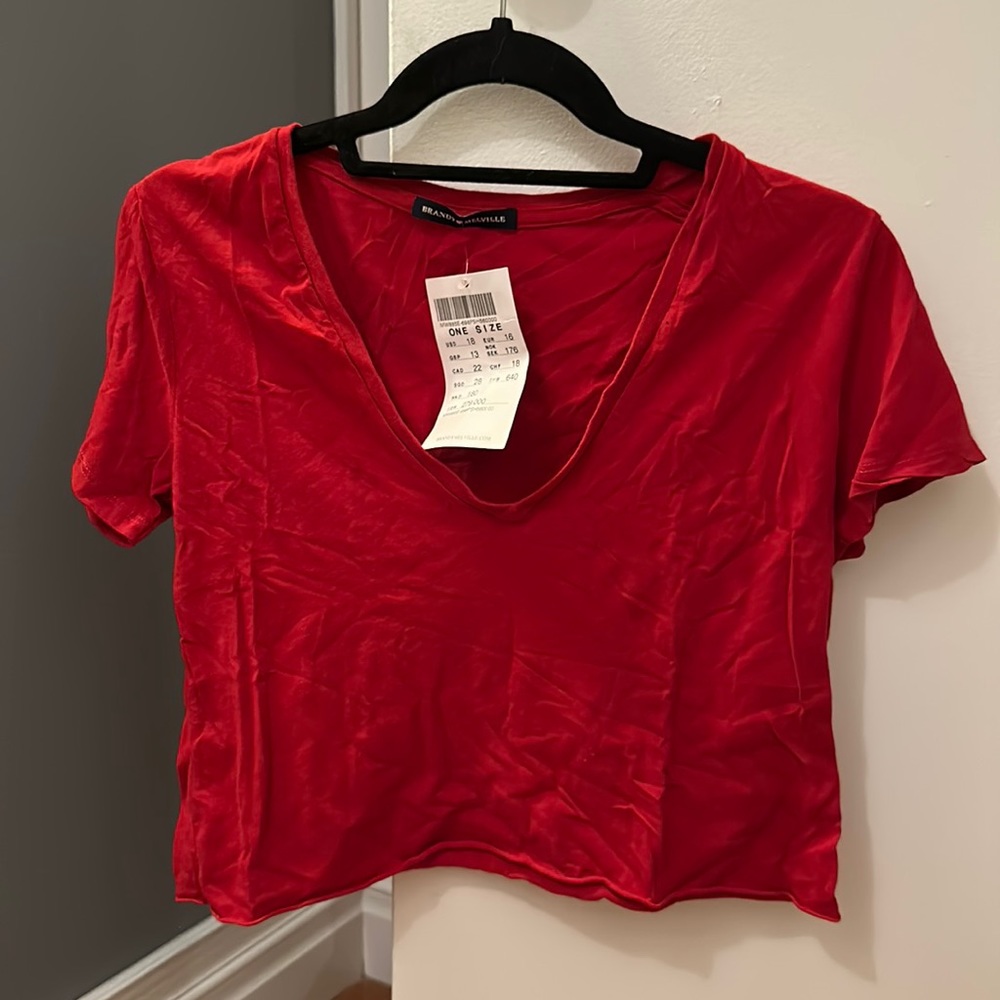 Brandy Melville cropped vneck